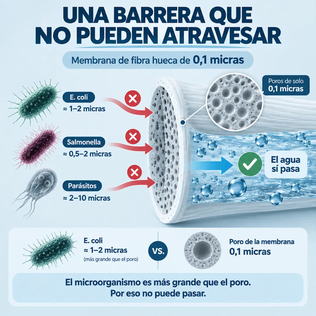 Purivex™ — Sistema Avanzado de Filtración de Agua